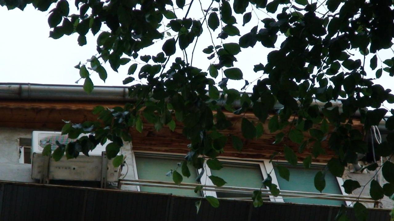 Studio French Embassy, Amzei Historic Center Bukareszt Zewnętrze zdjęcie